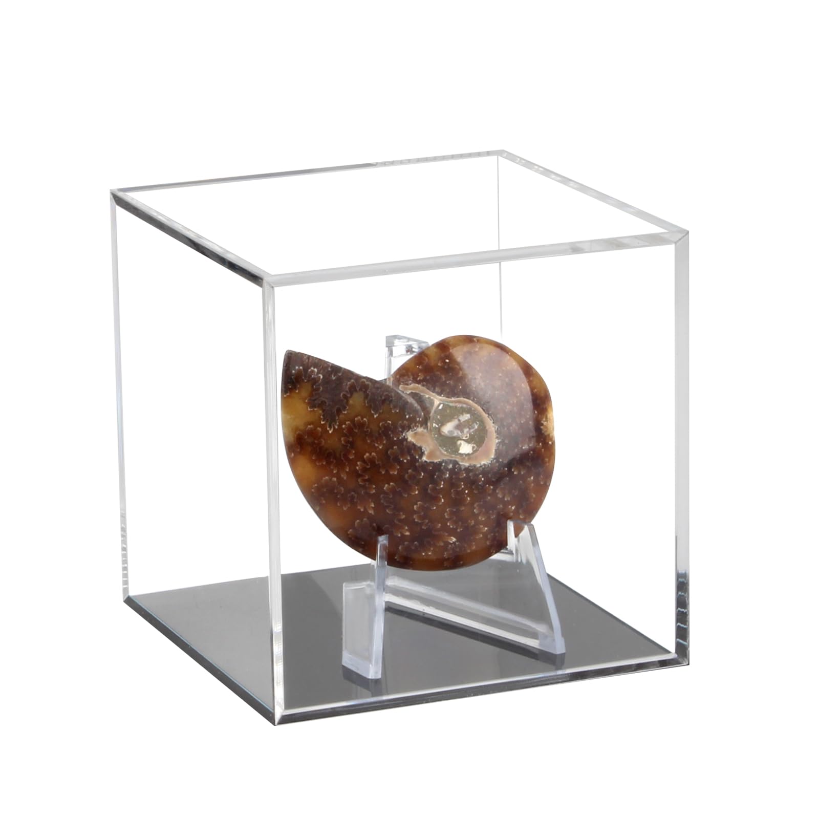 Capsules et médailles de collection sur présentoir acrylique transparent avec chevalet