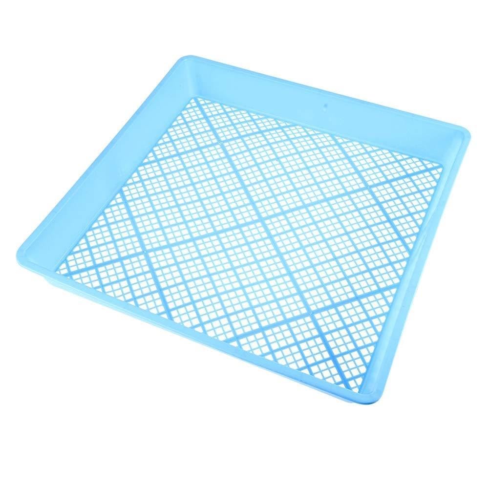 pour plateaux de semis de plantes, matériau PP de haute qualité, conception carrée à fond plat durable, excellent maillage de drainage, pour une utilisation à la maison