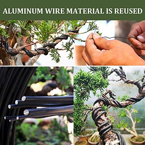 Falidi Bonsai Wire Set- 9 Roll Tree Training Wires 295.2 Feet Total，Anodized Aluminum Wire 1Mm/1.5Mm/2.0 Mm Training Wire，For Bonsai Trees Indoor #TOP5