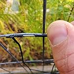 Review Image by MrMrsAmes MrMrsAmes