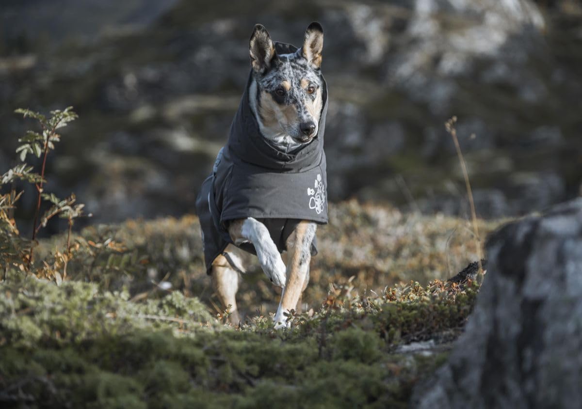 Hurtta Extreme Warmer Hundemantel, Winterjacke für Hunde, Brombeere 60 cm