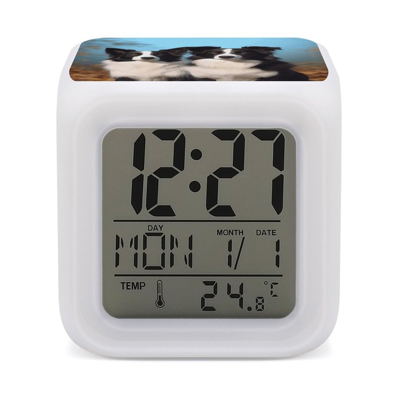 VstaDank Border Collie Digital Alarm Clock LED Display Screen Color Change Alarms Clock Smart Alarm Clock Wake Up Digital Clocks with 7 Color Nightlight for Bedroom