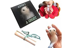Unleash the Spook: Adopt A Ghost in A Box