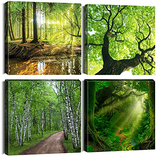 Soleebee 4 Teilig Premium Poster Set mit Hohe Qualität Rahmen, Kunstdruck Bilder Leinwandbilder Deko Home Deko für Schlafzimmer und Wohnzimmer 30 x 30 cm - Wald