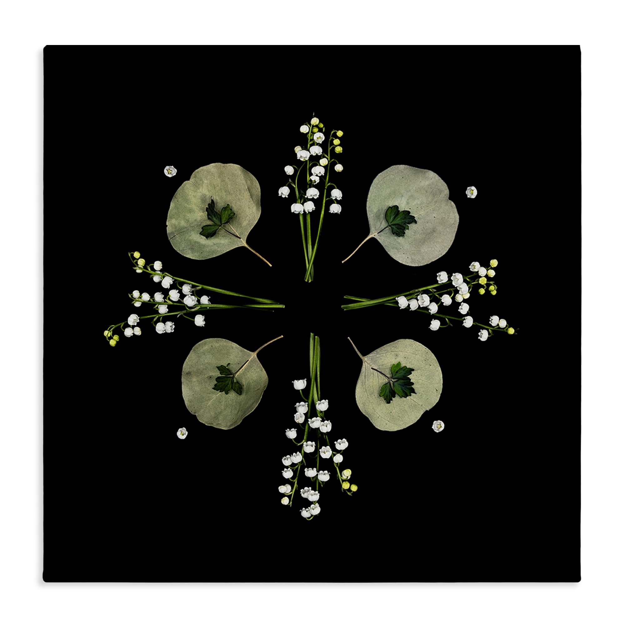 Stupell Industries Unframed 'Leaves & Wildflowers On Black'| Canvas Art