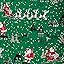 Santa's Sleigh