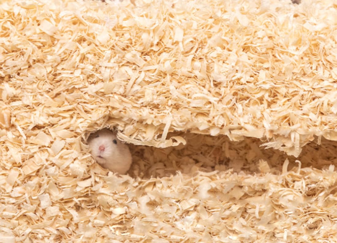 gutiest Sawdust Hamsters, Small Animal Sawdust, Rabbit Wood Shavings - Image 2