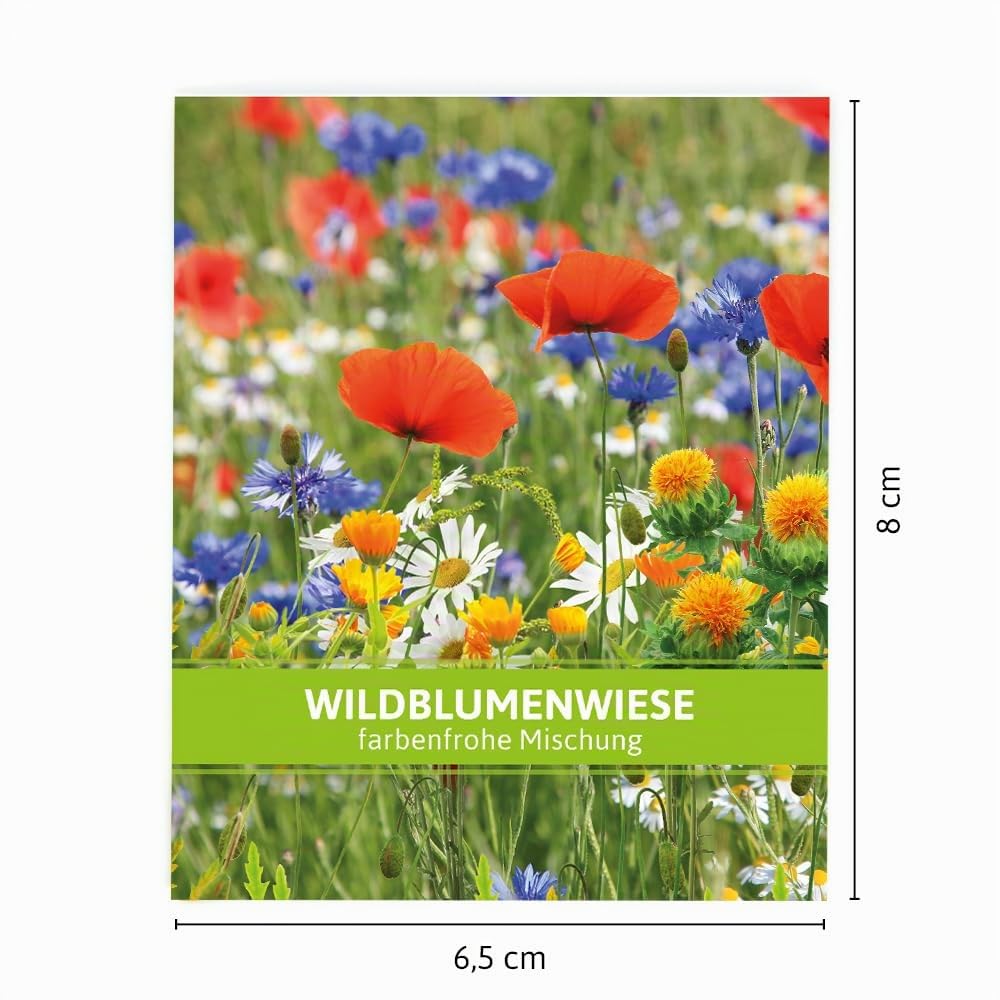 FLORTUS Wildblumenwiese für Gastgeschenke (500 Stück) | Wildblumensamen für Bienen & Insekten als Dankeschön Geschenke & Werbegeschenke
