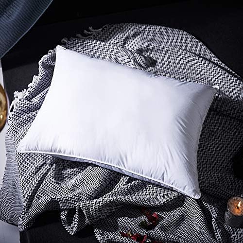 L LOVSOUL Feather Pillow,Goose Feather Pillow Queen Size(1 Pillow,Medium Soft) Pillows for Sleeping-100% Egyptian Cotton Cover,1000 Thread Count,20x28Inches
