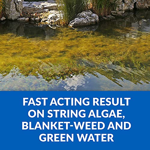 Crystalclear CC073-16 Algae D-Solv Pond Algae Control, Fast-Acting Epa Registered Algaecide, Use In Fountains & Outdoor Ponds Containing Koi & Other Fish thumb #2