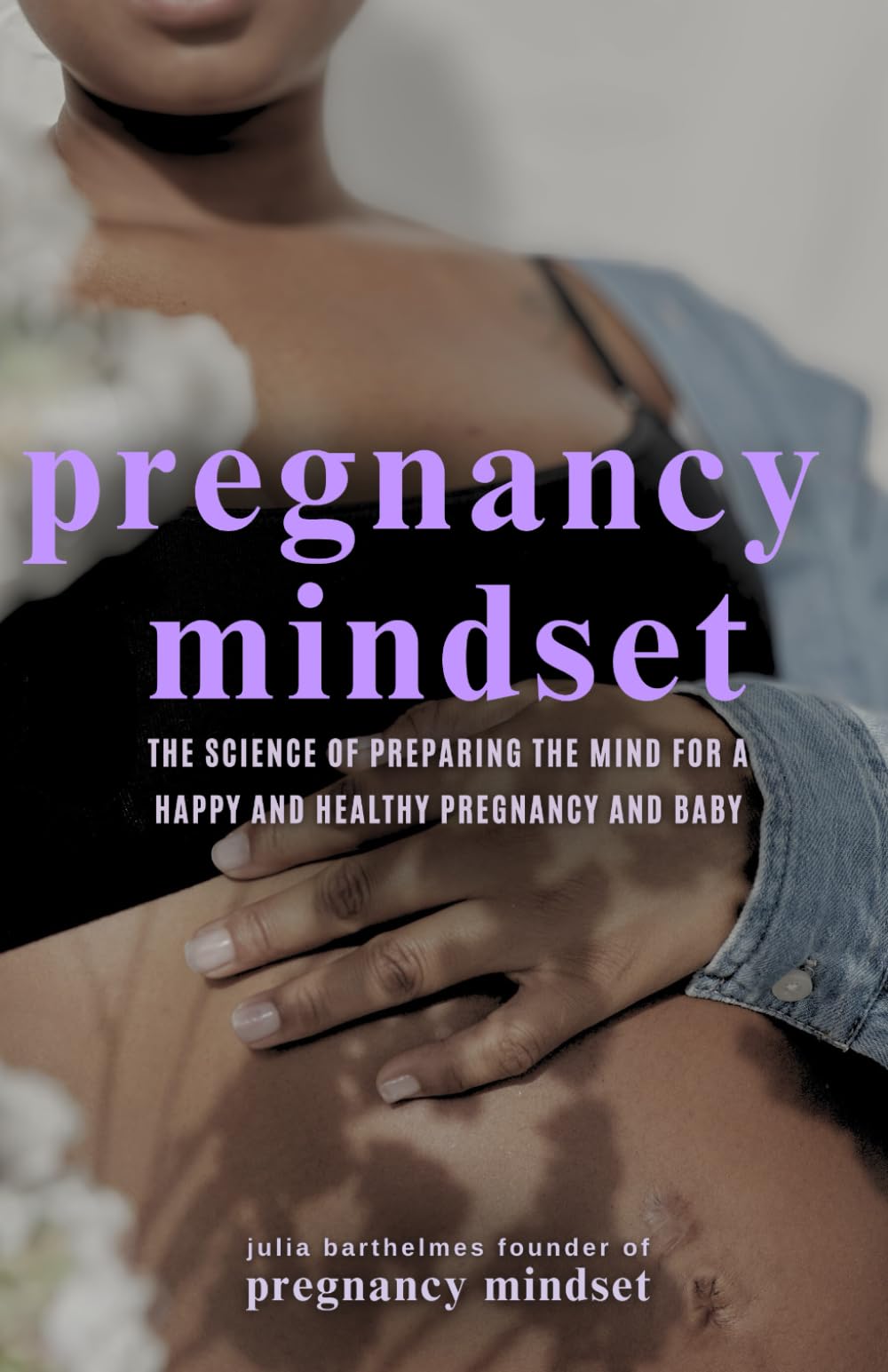 Pregnancy Mindset: The Science of Preparing the Mind for a Happy and Healthy Pregnancy and Baby (The Pregnancy Mindset Series)
