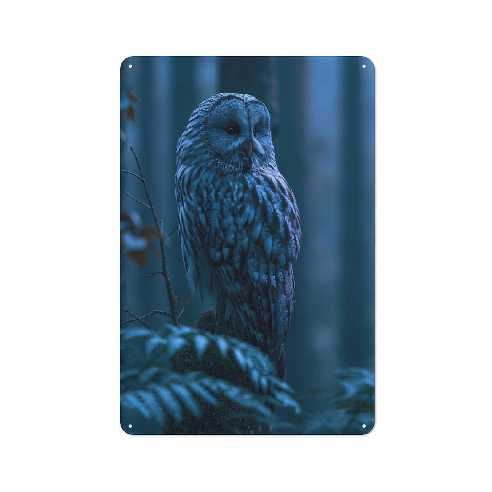 Metal Wall Sign 30x20cm Featuring Majestic Owl in Blue Forest for Living Room Wall, for Feature Wall Decorators