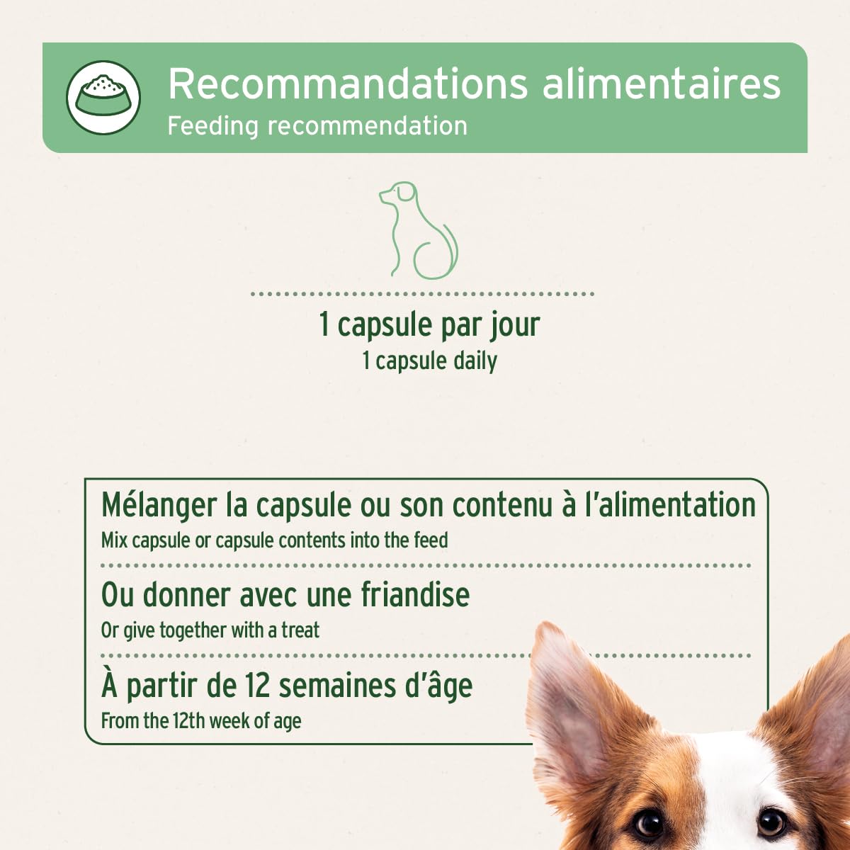AniForte Bouclier Anti Tique pour Chiens (Poids 10-35 kg) 60 gélules - Protection Anti-tiques pour Chiens, Vraie Barrière Contre Les tiques, Naturel & Efficace