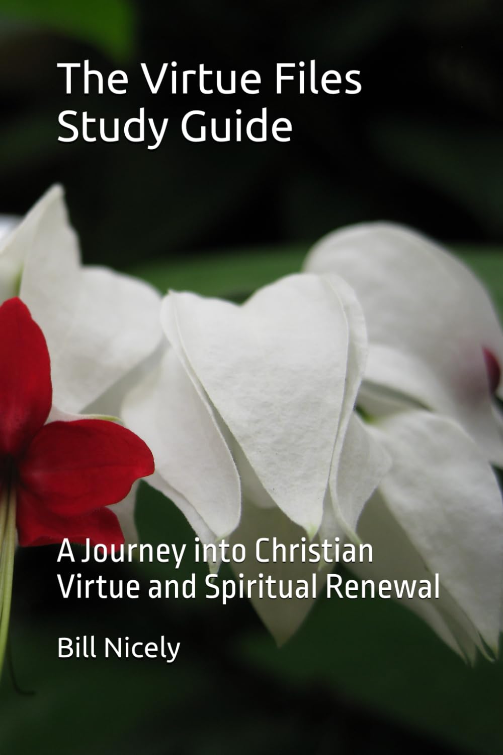 The Virtue Files Study Guide: A Journey into Christian Virtue and Spiritual Renewal