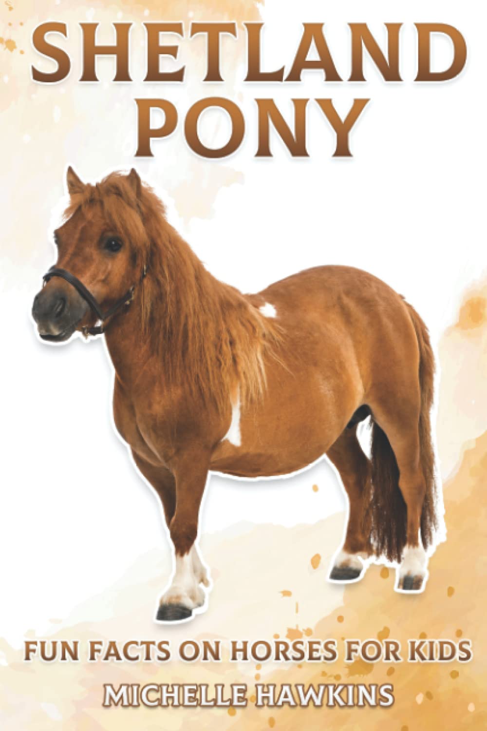 Shetland Pony: Fun Facts on Horses for Kids #4