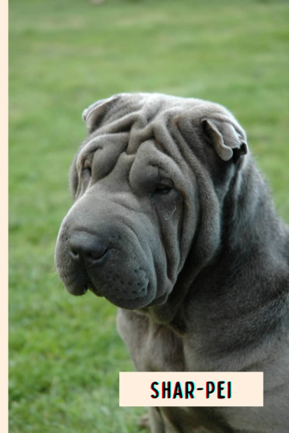 Shar-Pei: Composition Notebook For Shar-Pei Dogs Lovers , Shar-Pei Lined Journal ,6x9 Inches , 110 Pages ,Shar-Pei Diary