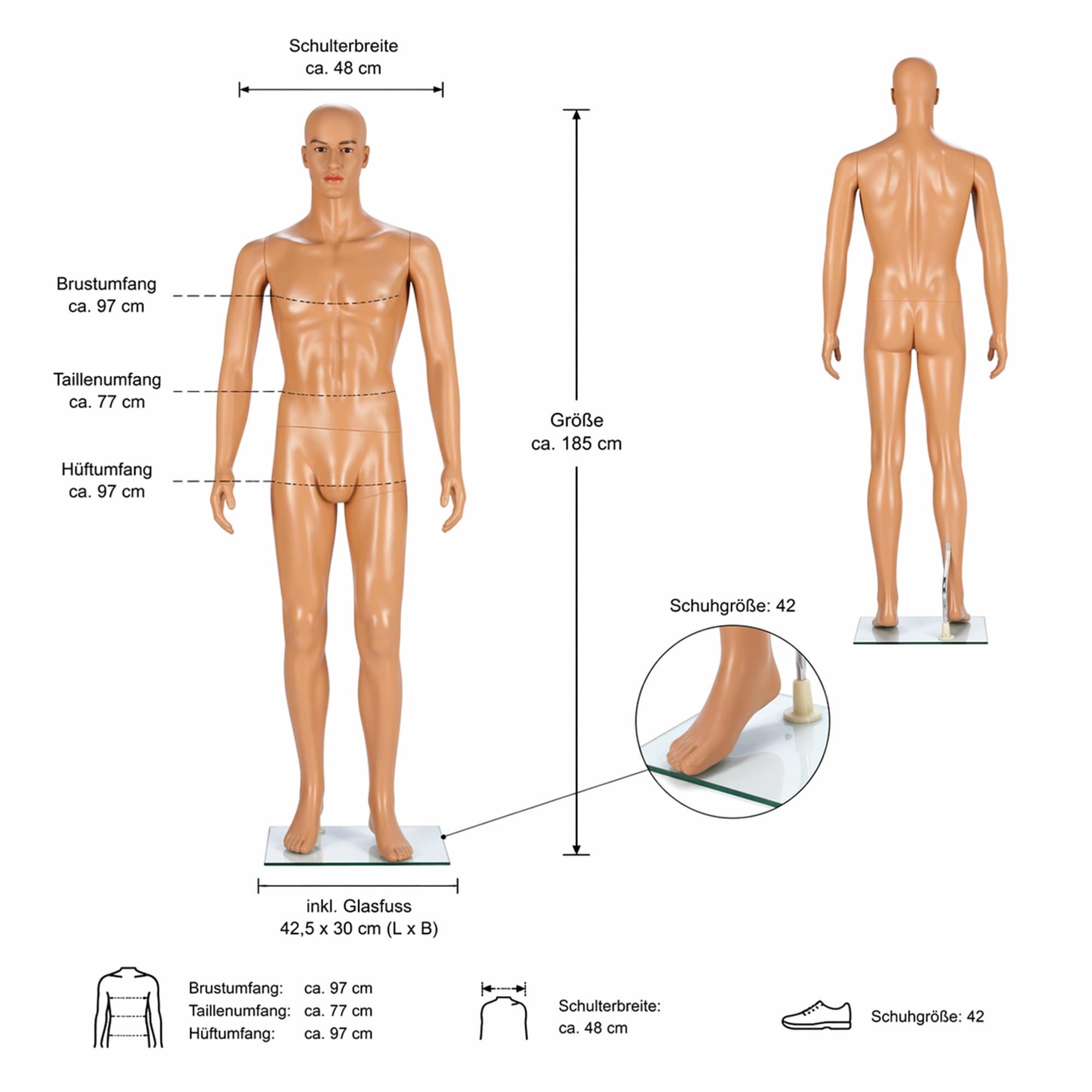 Mucola Schaufensterpuppe Mann 185 cm – Männliche Schneiderpuppe mit beweglichen Gelenken – Realistische Schaufensterfigur Herren-Mannequin mit Glas-Standplatte – Abnehmbarer Kopf & Arme