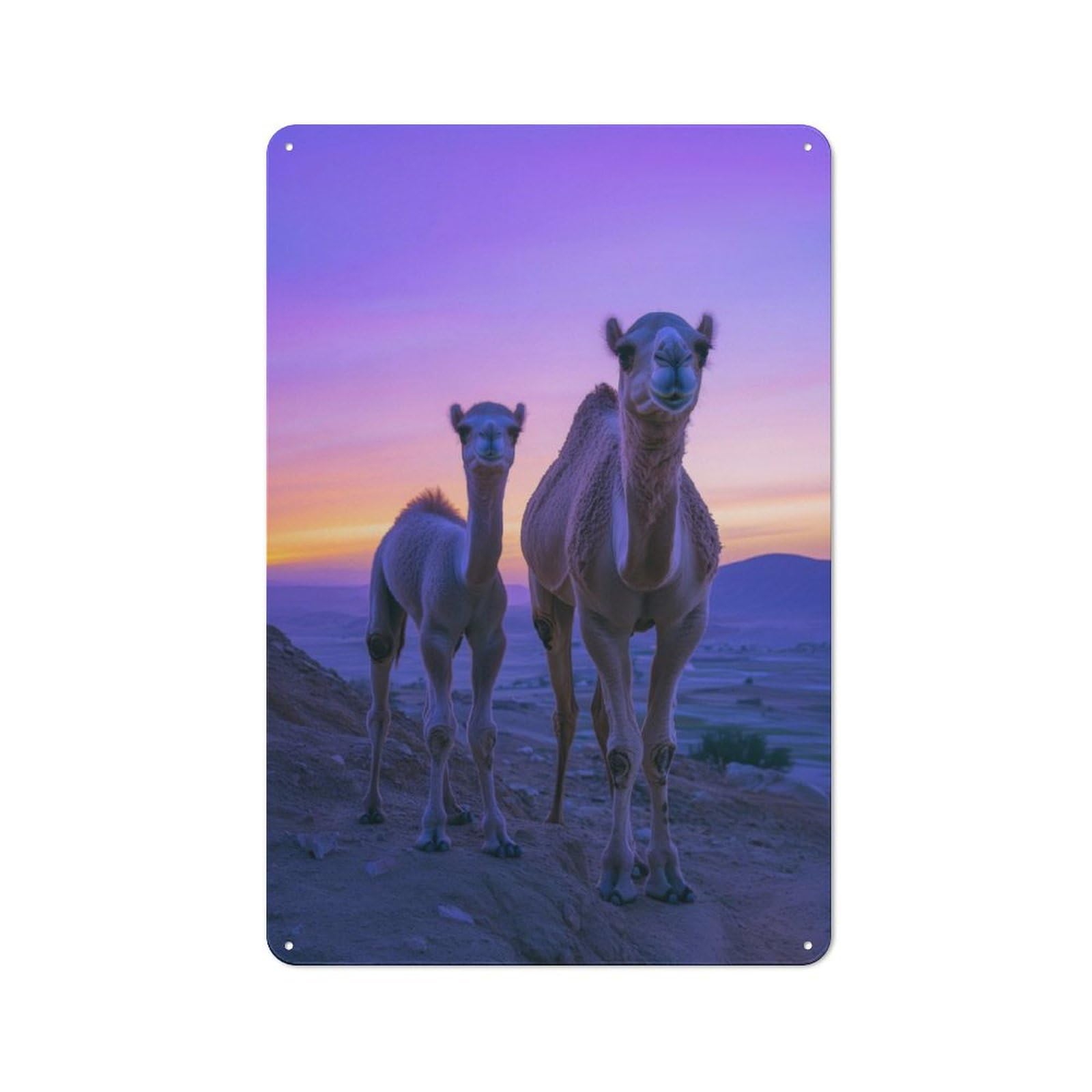 Junmoney Camel Family At Sunset Printed Metal Sign 30X20cm For Living Room Or Hallway, For Home Wall Decor Collectors