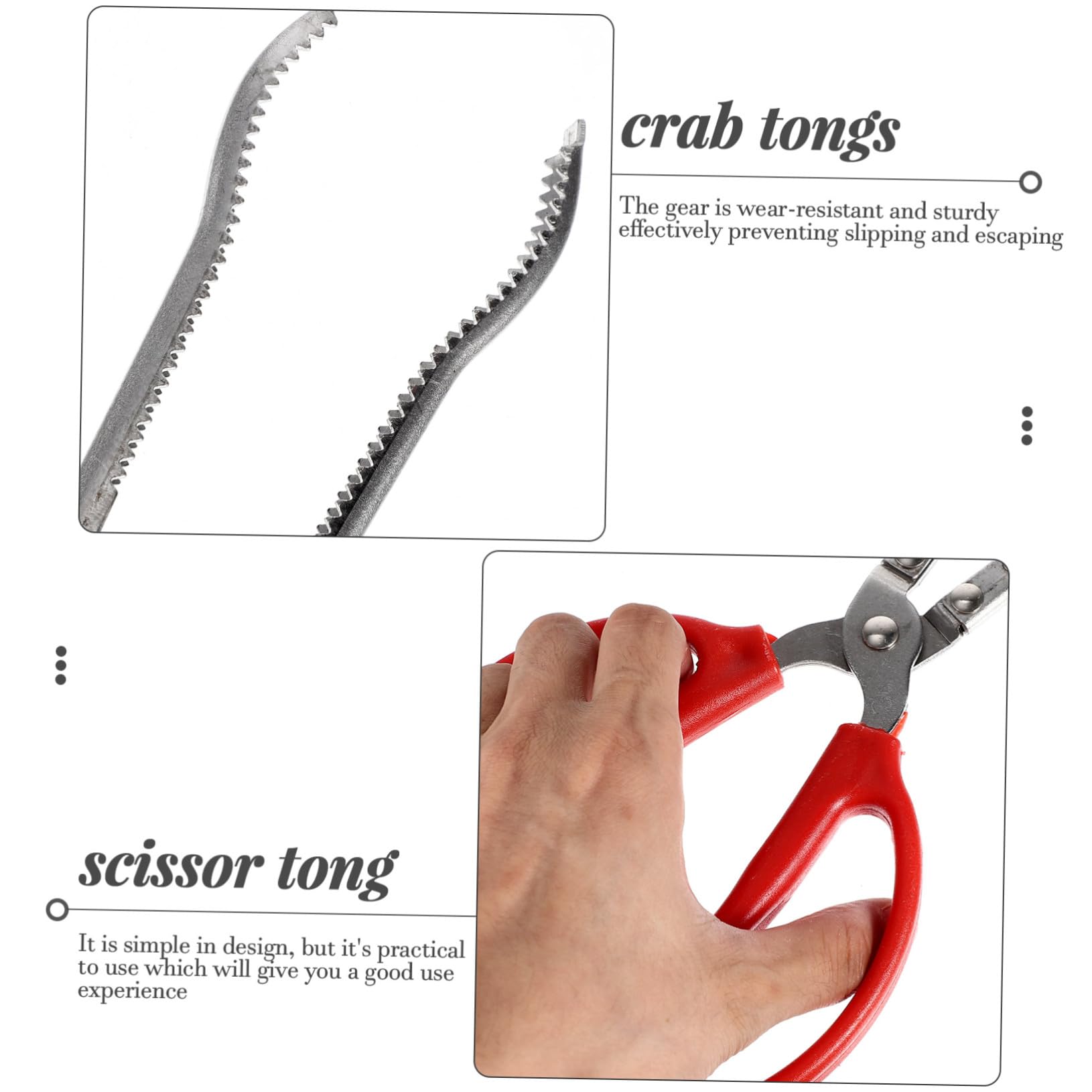 Pince à Crabes Portable en Acier Inoxydable Clip Antidérapant, Résistante à L'usure, Accessoire Pratique Pêche en Mer L'aquarium