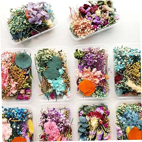 WOFASHPURET 3 Caixas flores secas artesanais flores secas de estilo misto apliques enfeites decoraçã