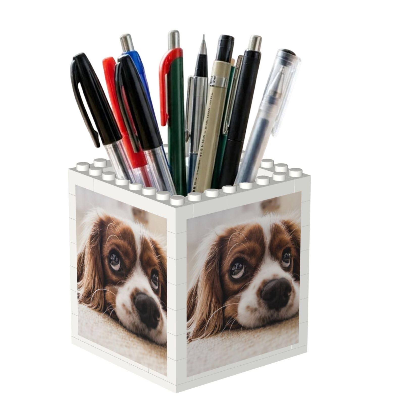 Poadnly Cavalier King Charles Spaniel Cute Dogs Pets, Pen Pot Pencil Holder for Office Home School, Compact Desk Organiser for Office Stationery