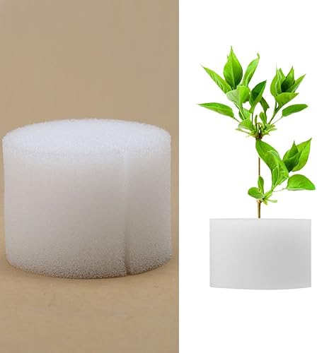 Miniatura 2 de ViaGasaFamido 50 esponjas hidropónicas sin suelo, plántulas plantadas, sistema de cultivo de vegetales hidropónicos, herramienta de caja de
