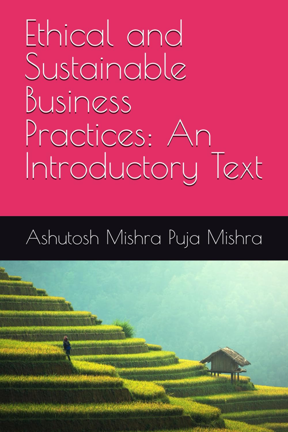 Ethical and Sustainable Business Practices: An Introductory Text