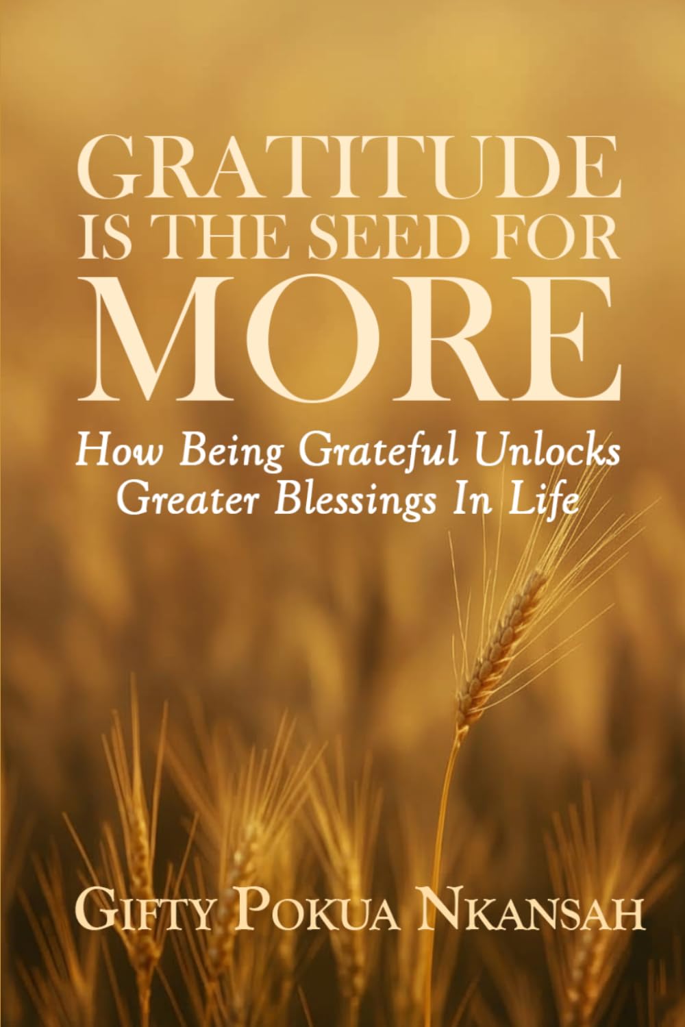 Gratitude Is the Seed for More: How Being Grateful Unlocks Greater Blessings in Life