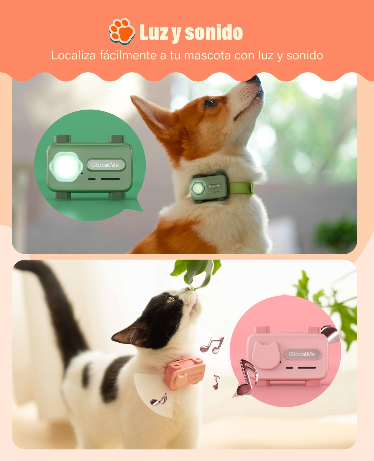 GlocalMe PetPhone, Rastreador GPS para Perro y Gato, Llamada bidireccional, posicionamiento Global, Seguimiento en Vivo, historial de Posiciones, Mini rastreador GPS con abono de 30 días