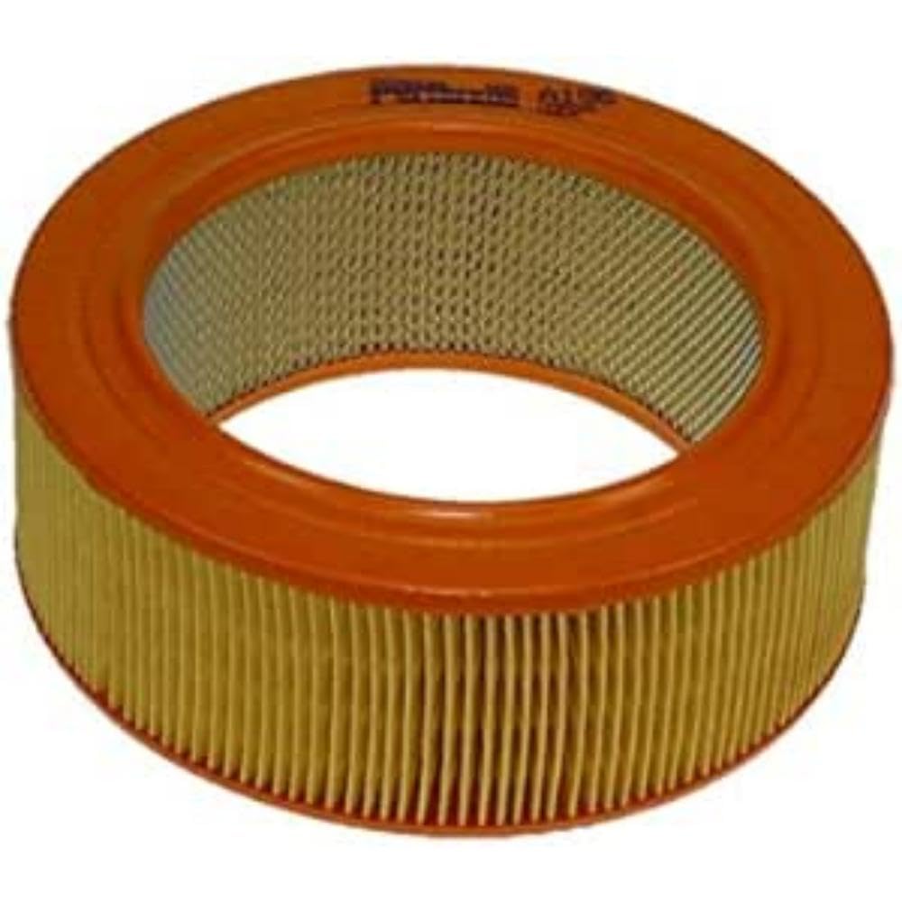 A196 Air Filter