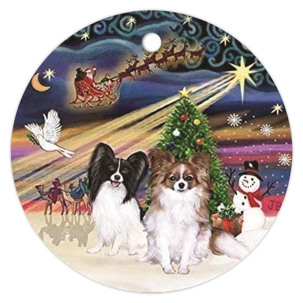 30 Best Gifts for a Papillon Owner - iHeartDogs.com 26 61i6RLkQStL. SL1000