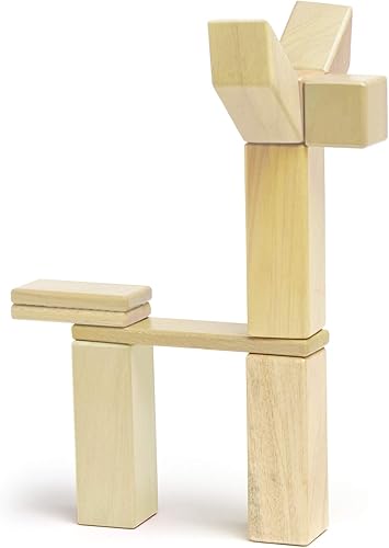 Miniatura 5 de Conjunto de 24 bloques magnéticos de madera de Tegu, Natural