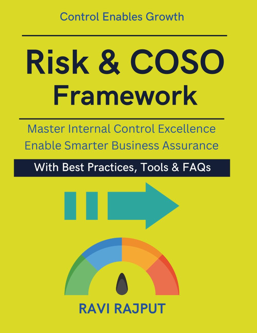 Risk & COSO Framework: Implementing COSO Controls | From Risk to Assurance | internal control maturity and reporting | audit professional learning resource | risk to assurance methodology