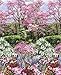 Botanic Garden 24" Fabric Panel Timeless Treasures Spring Nature Walk C2759