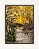 Wedding Gift for the Couple with Wedding Blessing Poem. Aspen Path Photo, 8x10 Double Matted. Wedding Keepsake for the Bride and Groom.
