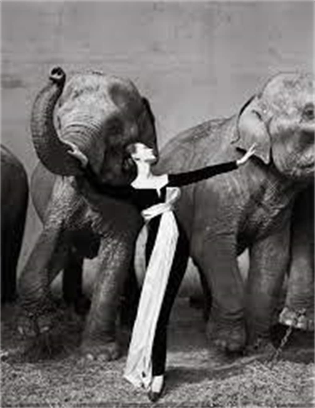 Richard Avedon: Relationships /anglais