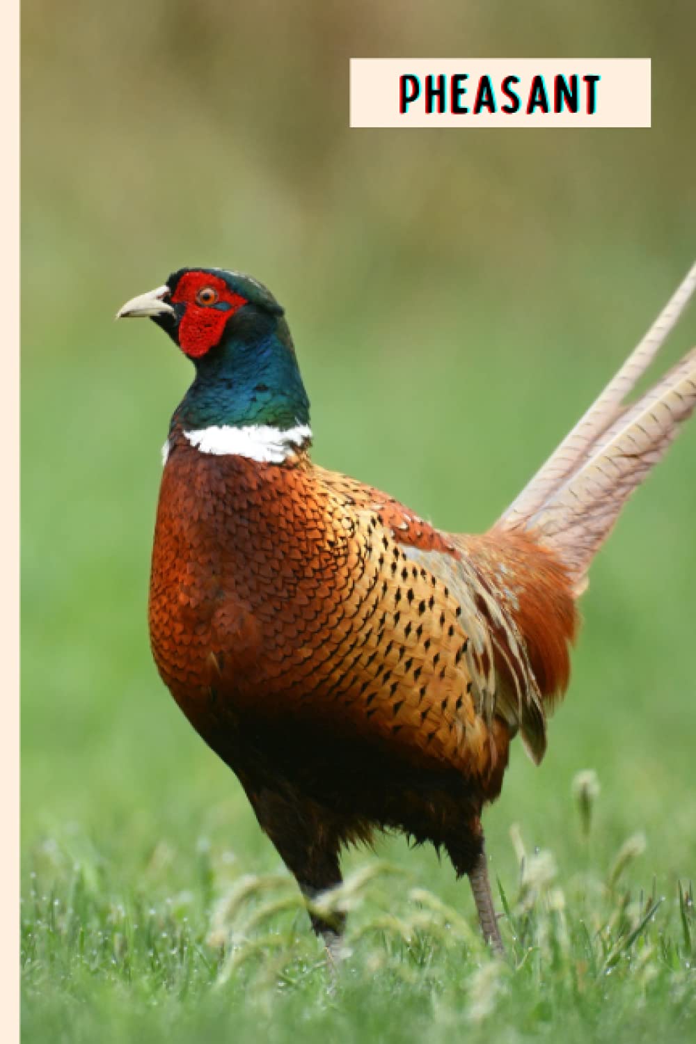 Pheasant: Perfect Pheasant Journal for Memories And Notes , Pheasant Notebook ( 110 Pages, 6x9 )