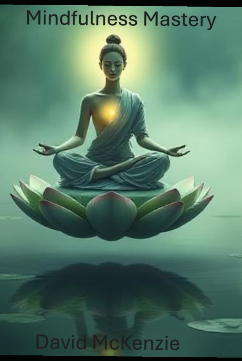 Mindful Mastery A Practical Guide to Transforming Daily Life
