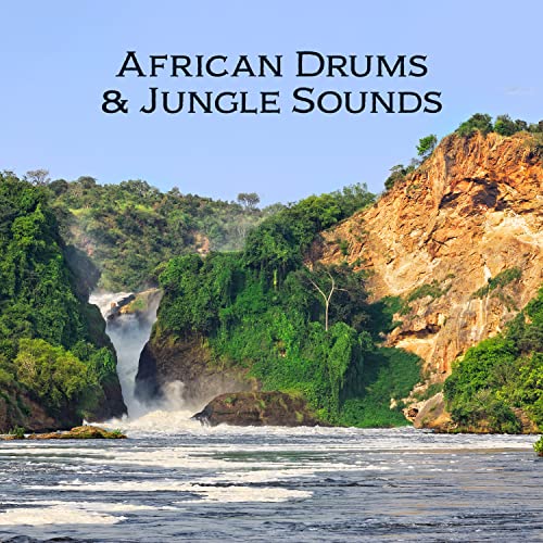 Temba Song African Earth Pulseming by Temba Rise on Amazon Prime Music