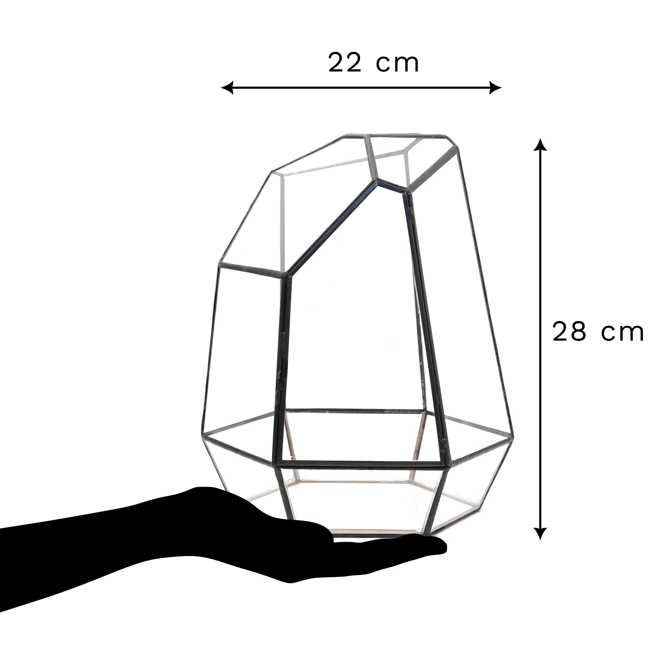 Noctis - Kit de Terrarium Complet DIY pour Plantes avec Substrat et 10 Outils Inclus - Structure en Verre - Design Géométrique - Écosystème Autonome, Coffret Créatif (sans Plantes)