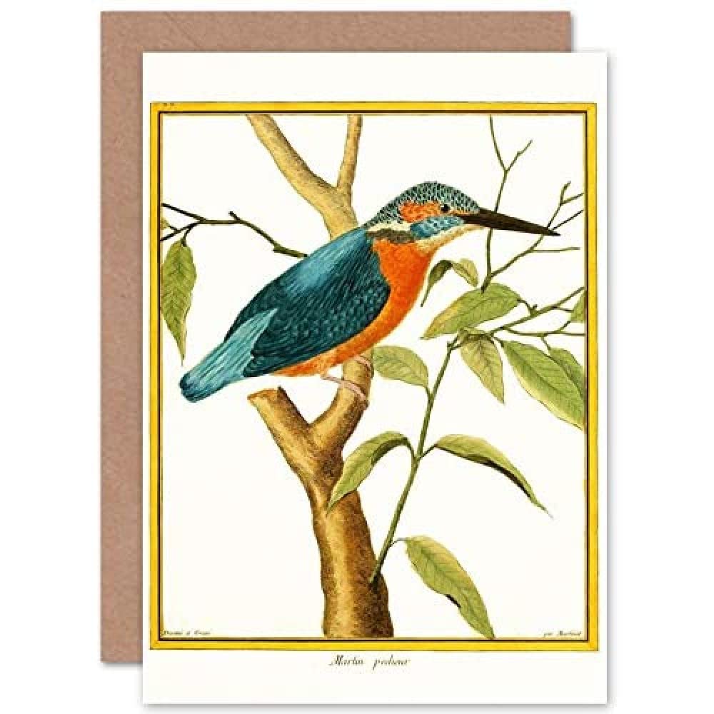 Artery8 - Greeting Card - Kingfisher Design