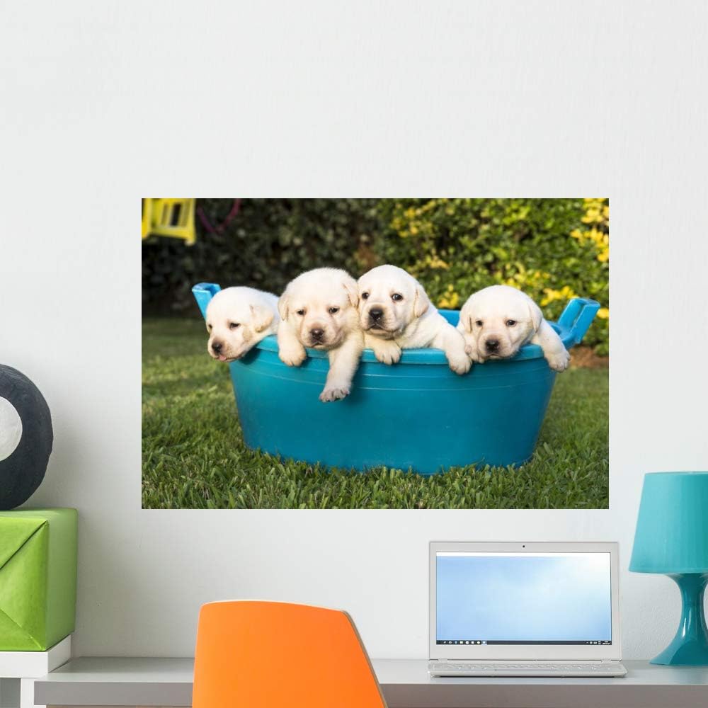 Wallmonkeys Puppies Having Summer Bath Wall Mural Peel and Stick Vinyl Graphic (24 in W x 16 in H) WM525644