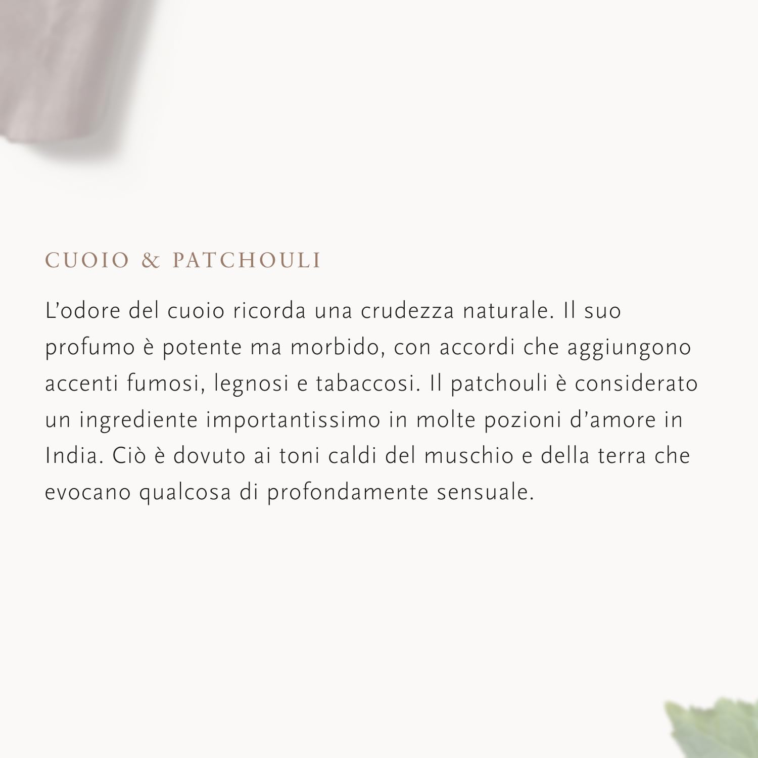 RITUALS Ricarica profumo Auto Sport Life is a Journey – 2 ricariche profumatore auto – Diffusore ambiente con note di cuoio, fava tonka e patchouli – 2 x 3 g