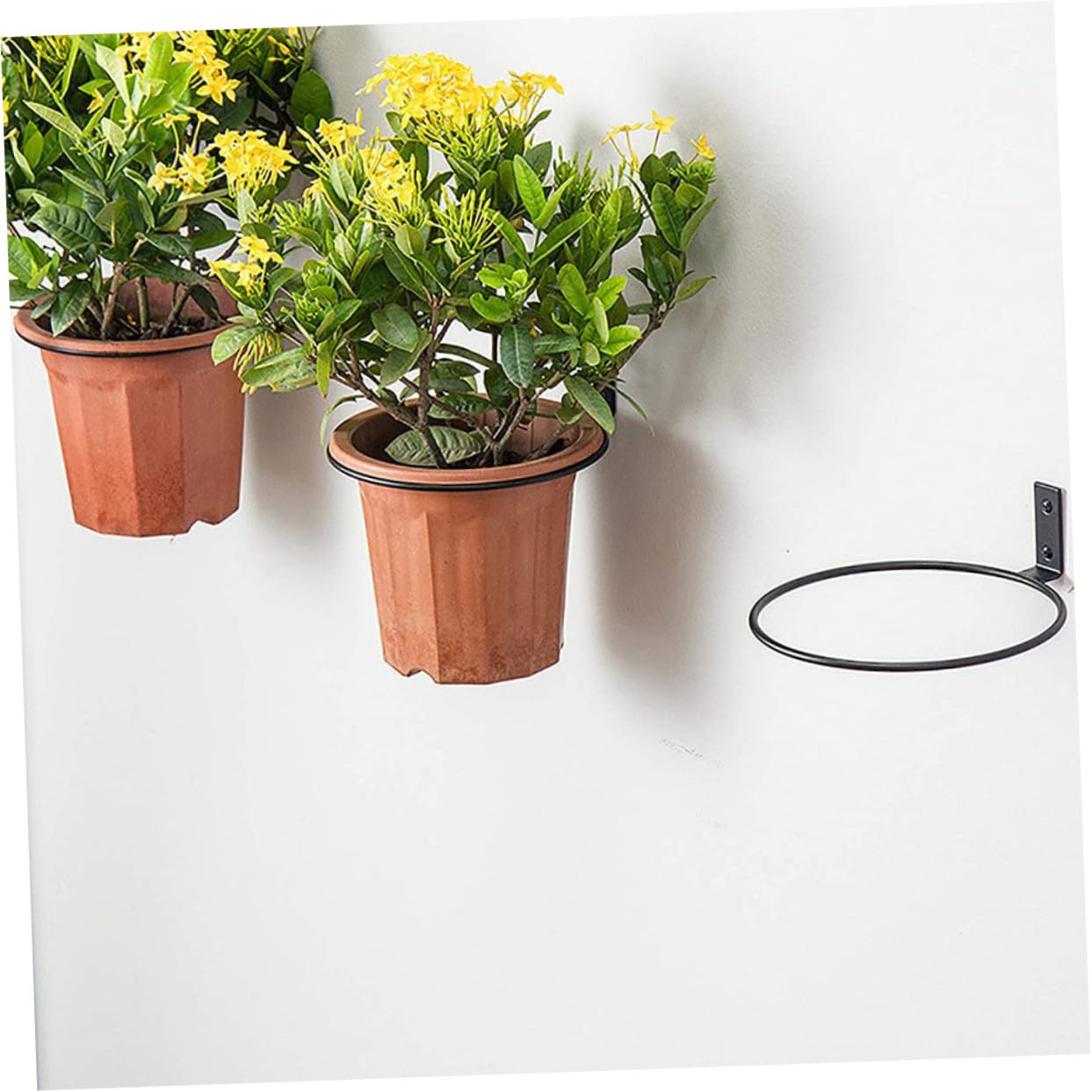 Didiseaon Soporte Práctico Pared para Negro de Ligero de Macetas Hierro y Diseño Creativo y Simple, Paquete de 5 Piezas Adecuado para Interior y Exterior