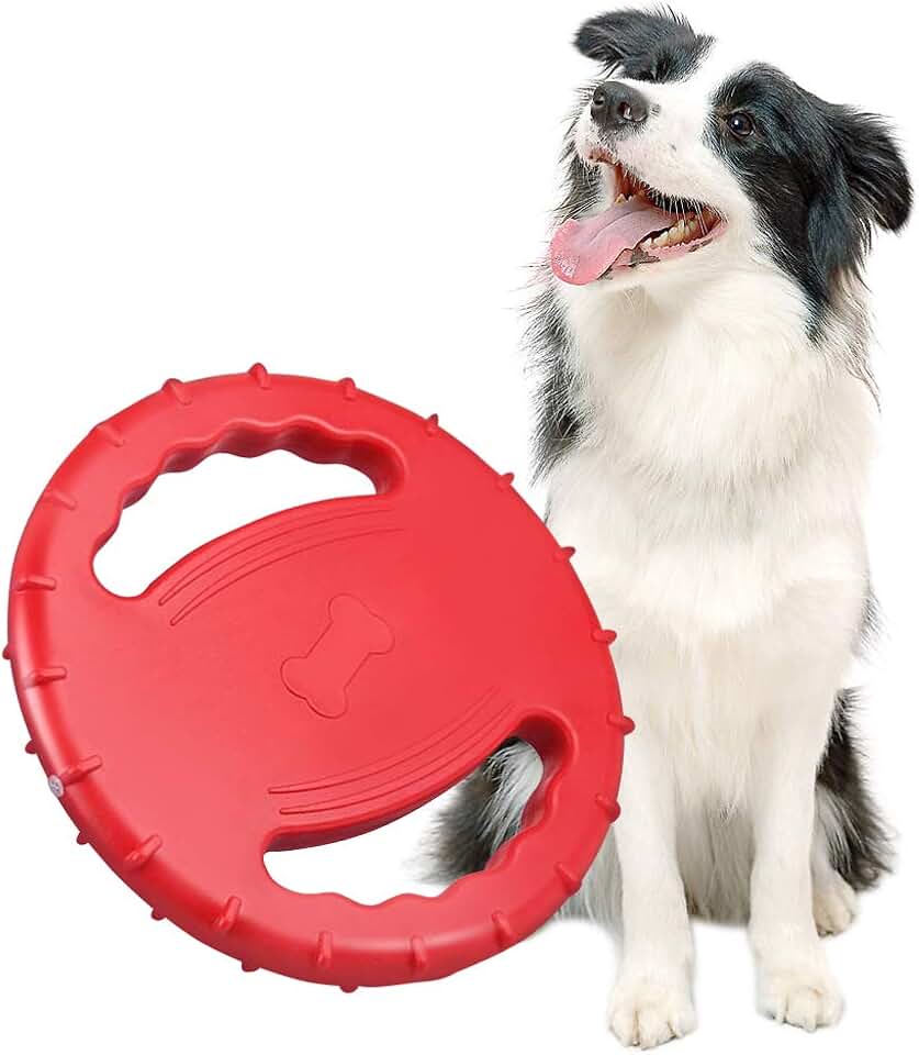 Frisbees & Tossing Toys For Dogs Amazon.co.uk