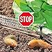 Produktbild Schnecken-Stopp: 16 m Kupferband mit 16 Erdnägeln, Schnecken-Abwehr von WENKO