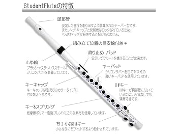 プラスチックフルート sddefault.jpg