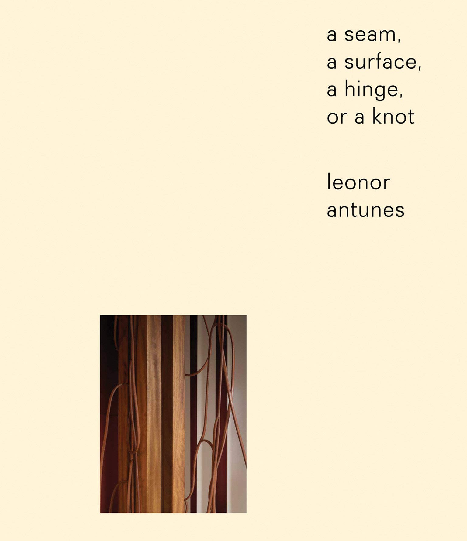 Leonor Antunes: a seam, a surface, a hinge, or a knot (Sternberg)