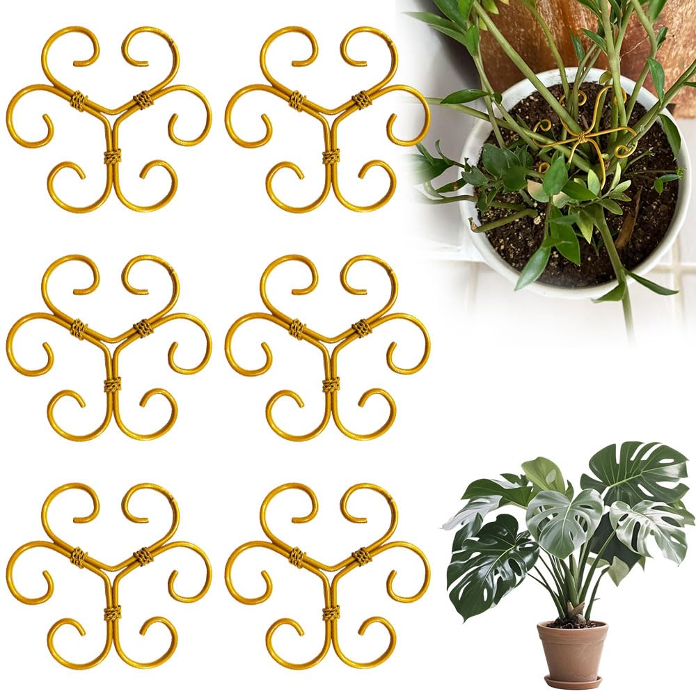 Ensemble de support de tige de plante grimpante, treillis en métal réutilisable pour plantes grimpantes, piquets de support pour plantes d'intérieur (6, cœur doré)