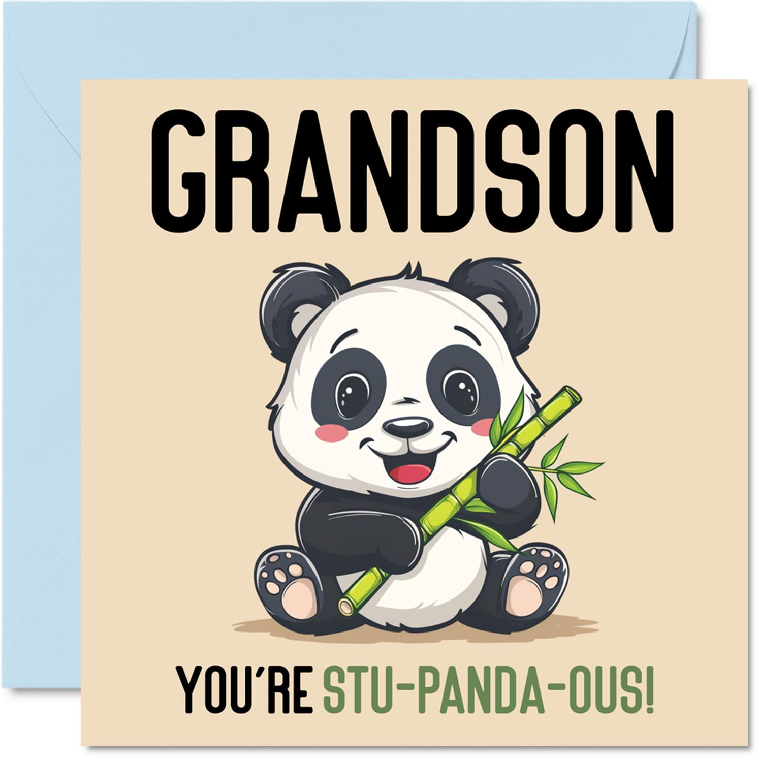 Birthday Cards for Grandson - Stu-Panda-ous - Funny Happy Birthday Card for Grandson from Grandparents, 145mm Joke Greeting Cards Men Him
